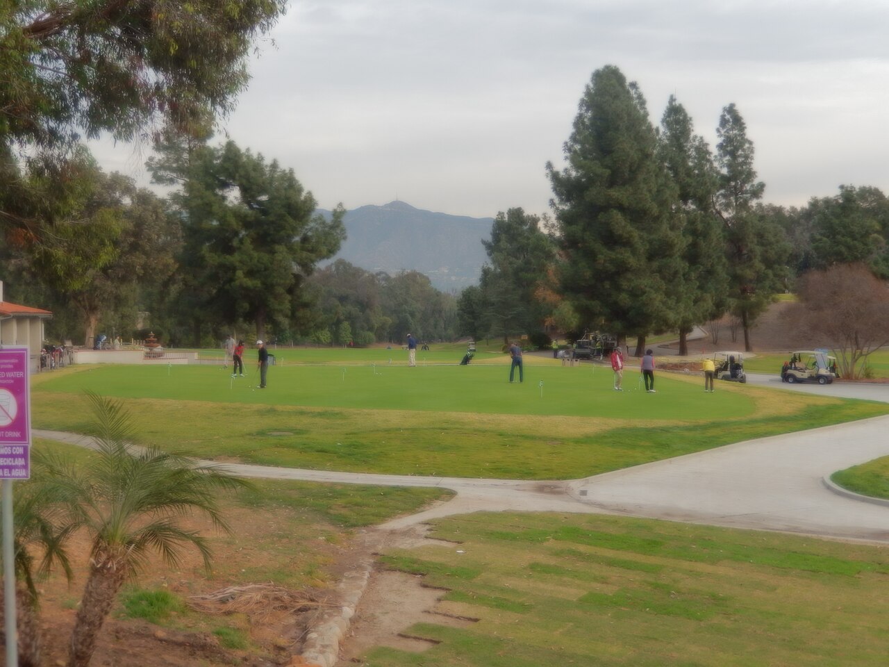 Golfers on the practice putting green at the Wilson and Harding courses in Griffith Park, with the San Gabriel foothills behind