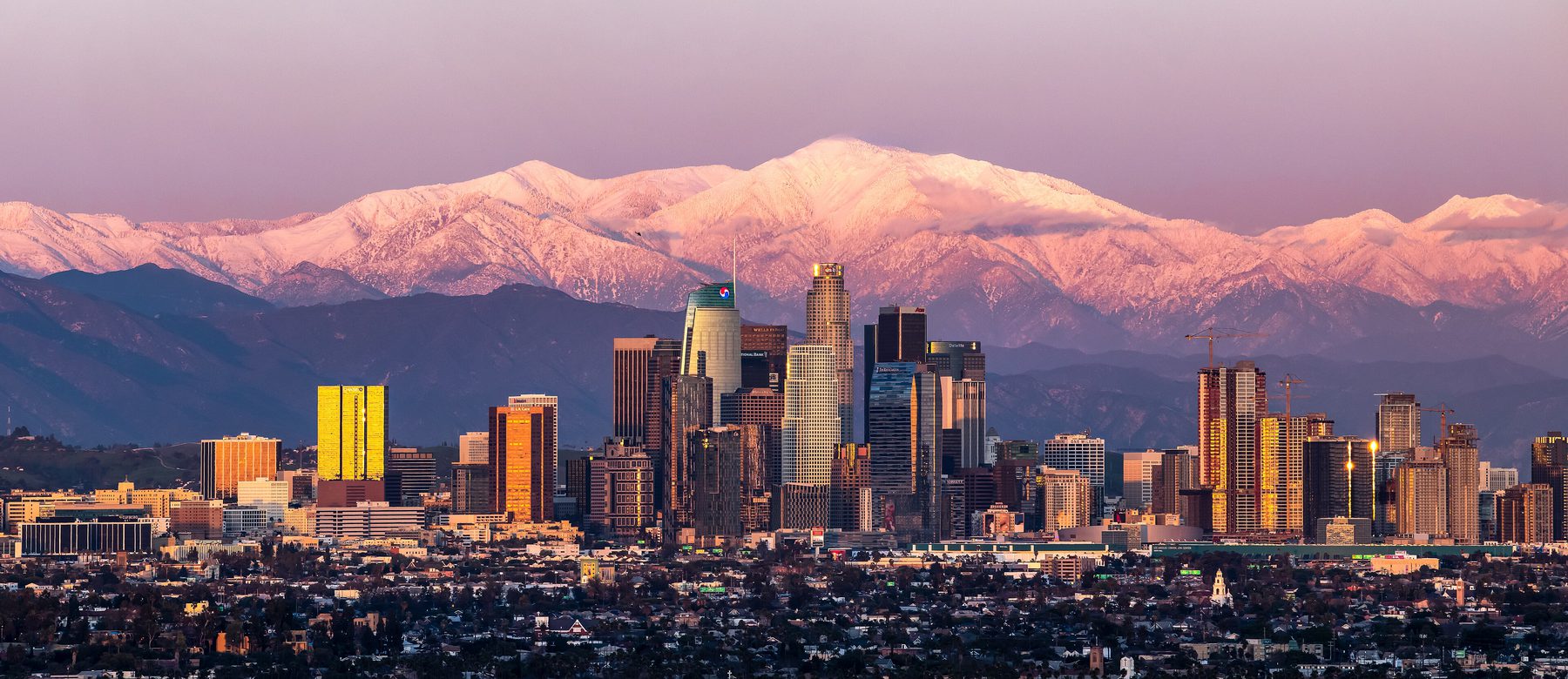 Los Angeles seen from the hills, downtown towers against the mountains
