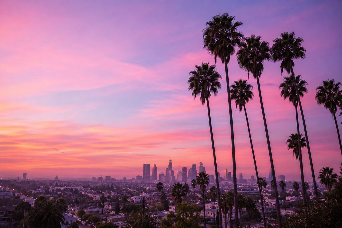 Palm silhouettes over the city at sunset