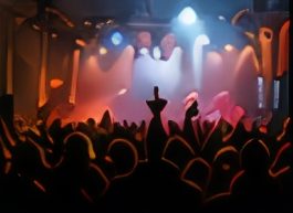 Live concert crowd