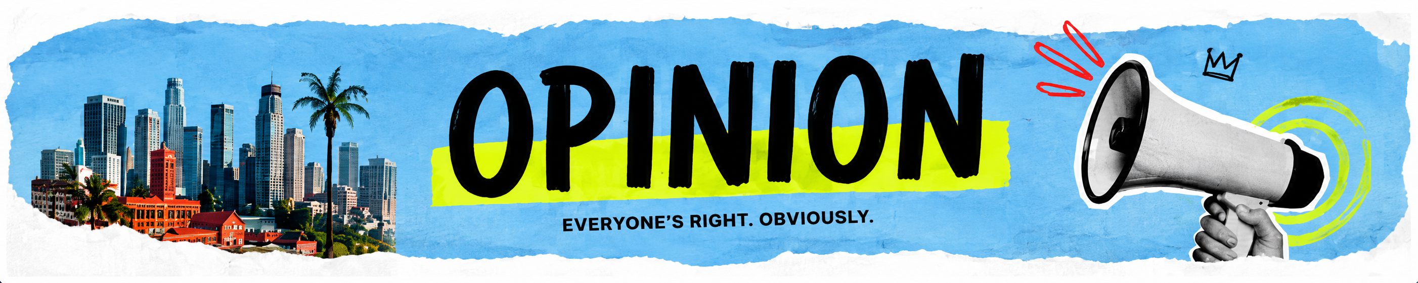 Opinion