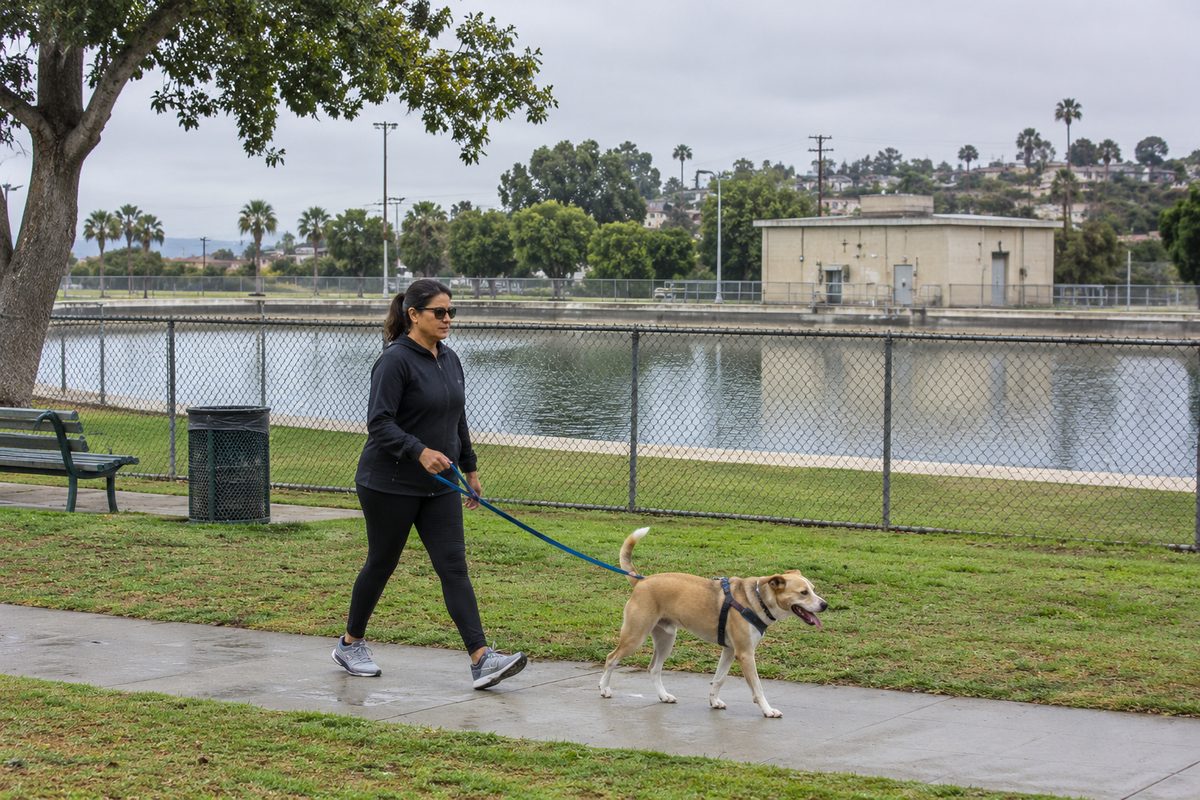 A walker passes the chain-link fence around Gundry Reservoir in Reservoir Park, Signal Hill, on an overcast morning.