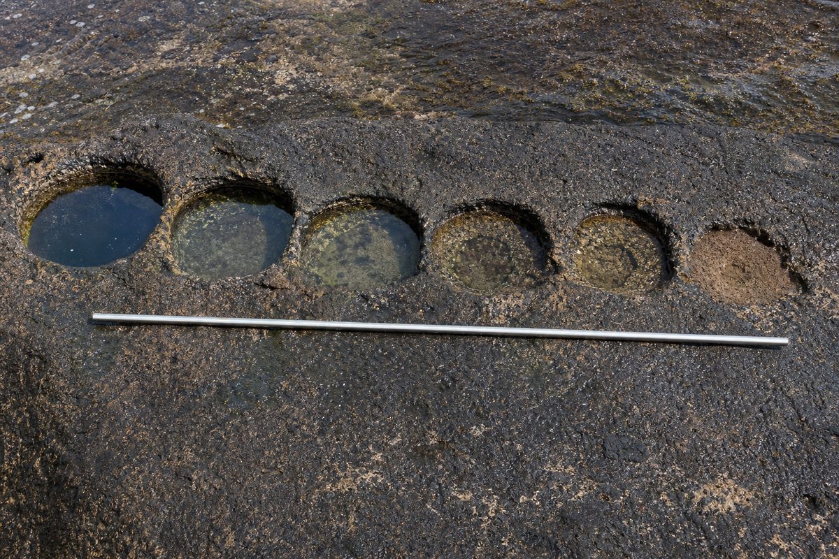 Photo illustration: a graphic overhead row of six shallow rocky tide-pool basins across one dark reef shelf, each holding a different depth of water, a plain unbranded metal measuring rod laid along the shelf beside them, hard noon light, no signage, no logos, no people