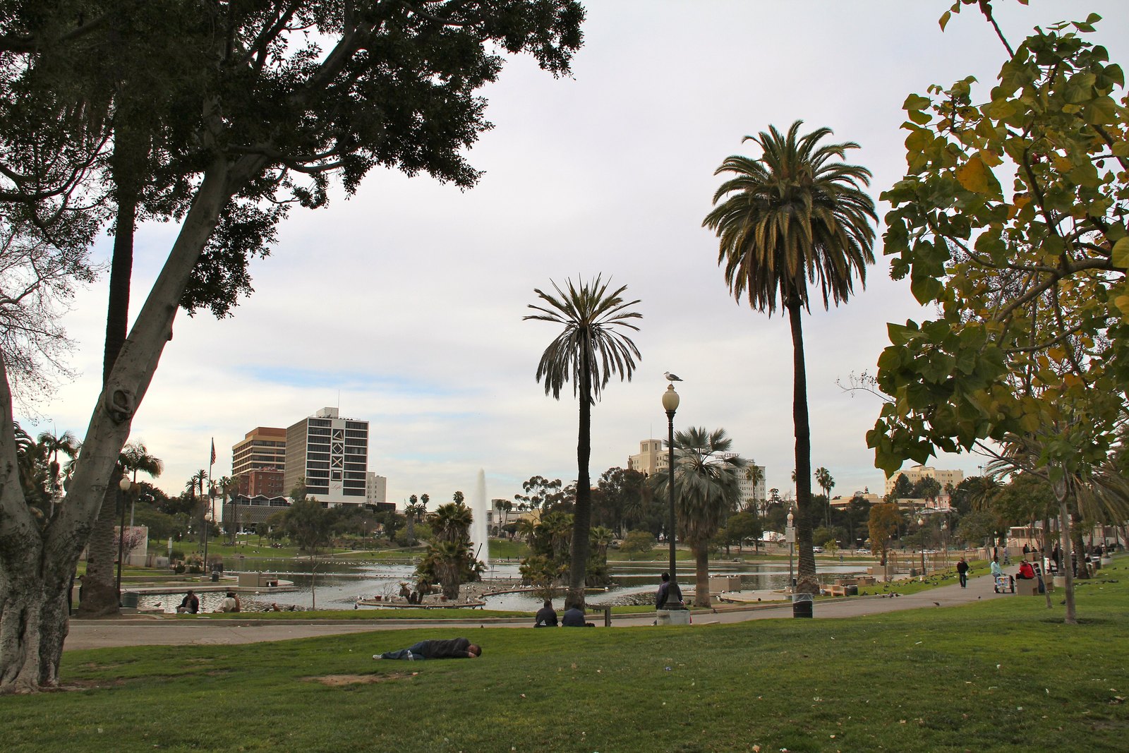 MacArthur Park's lake and fountain, with the Westlake high-rises beyond, as seen from the park's lawn, photographed in 2011.