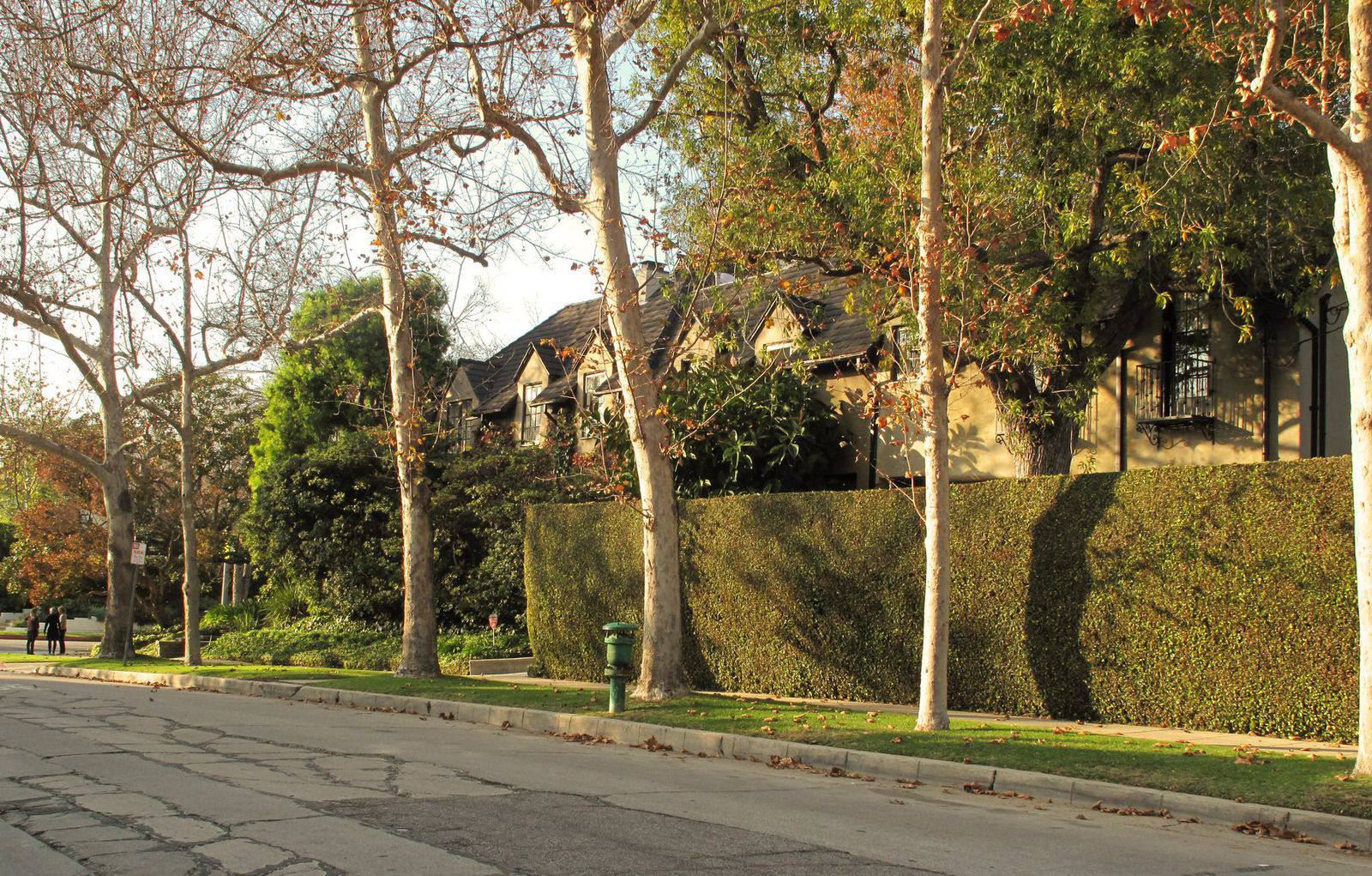 A hedge-lined residential sidewalk and street shaded by mature trees in Hancock Park, Los Angeles