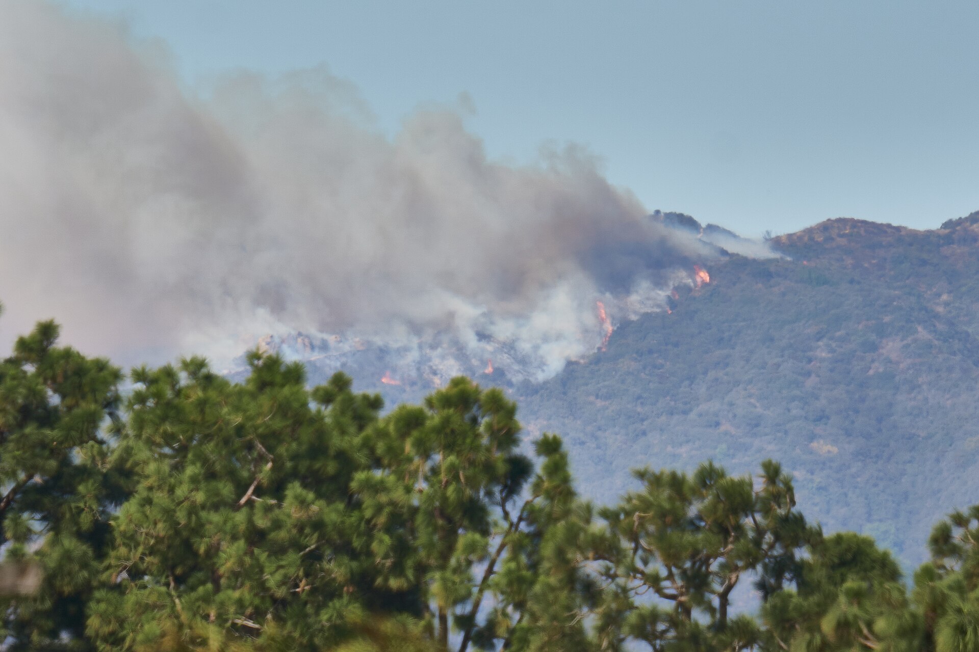 The Palisades Fire burning in the hills, seen from the Ballona Wetlands