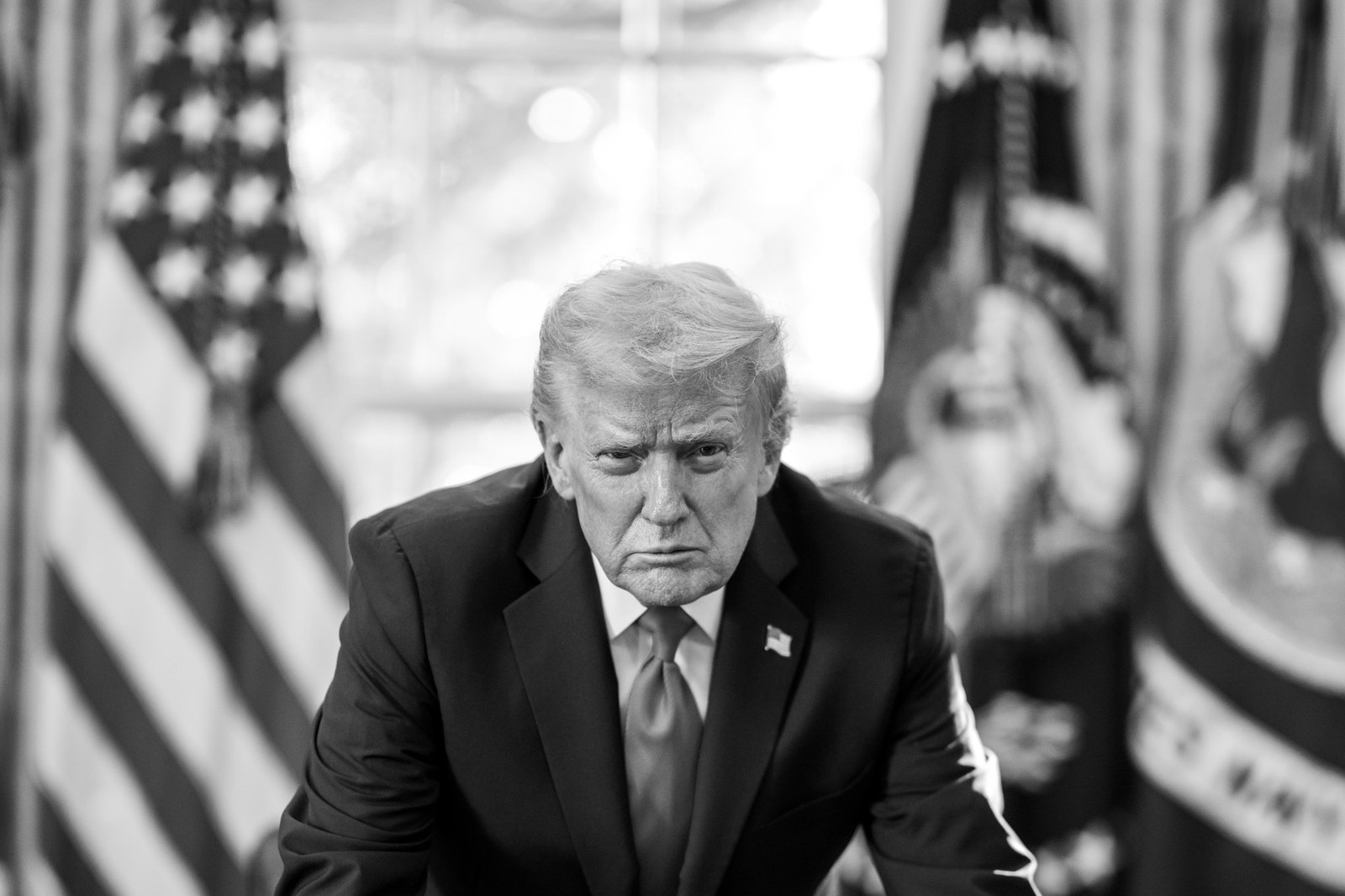 Official portrait of President Donald Trump.
